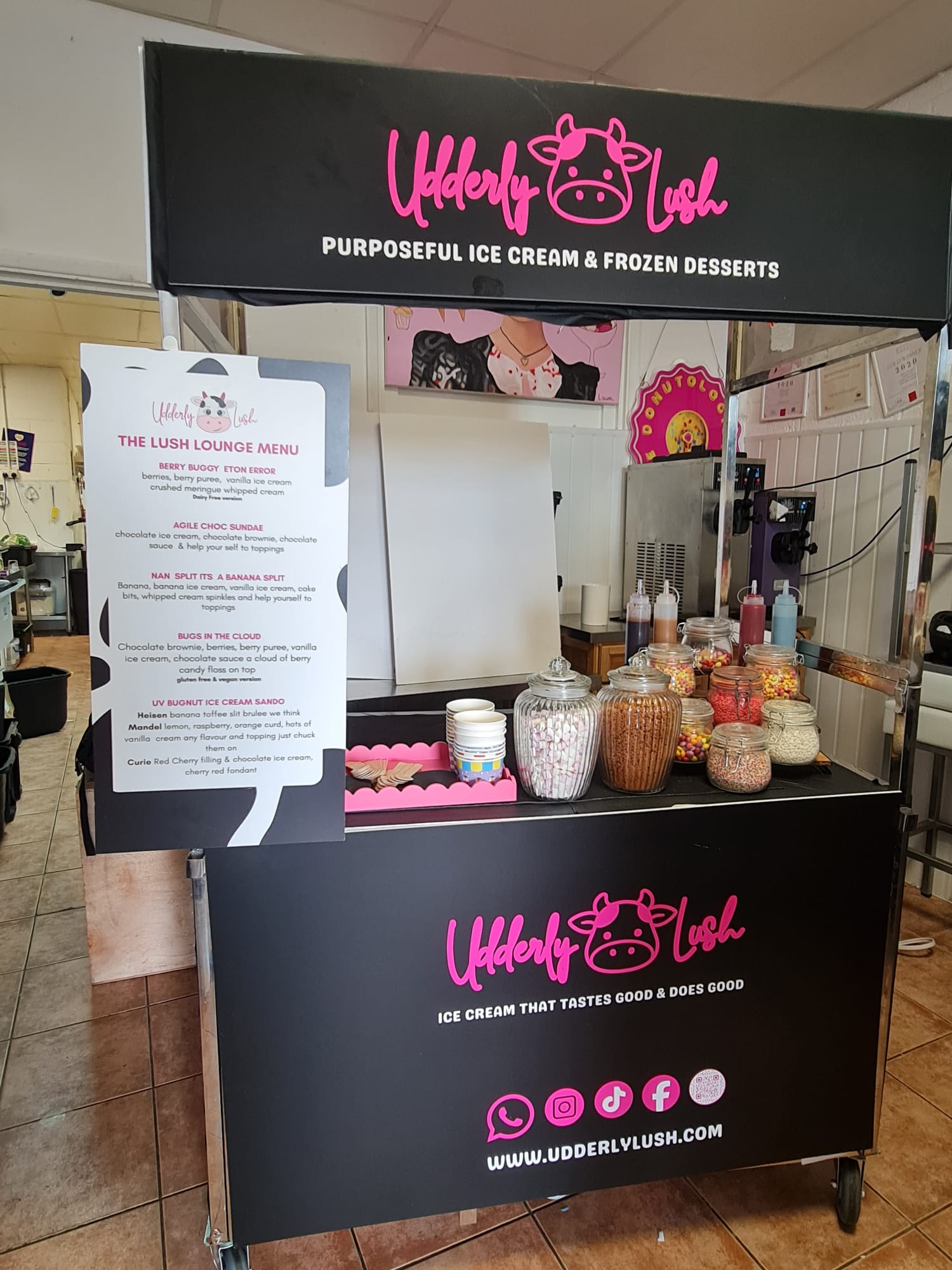 The Shakes 'n' Sundae Cart — 2hr Unlimited Two-in-One Dessert Station for 50+ Guests - Udderly Lush — Ice cream that tastes good and does goodEvent Experience